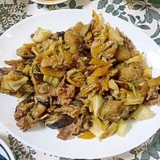 娘が作る☆なすと椎茸とキャベツのみそ野菜炒め